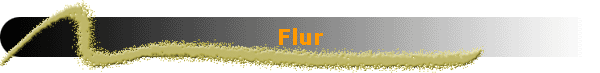 Flur