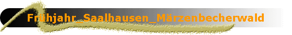 Fr�hjahr_Saalhausen_M�rzenbecherwald