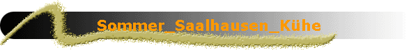 Sommer_Saalhausen_K�he