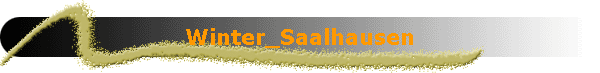 Winter_Saalhausen