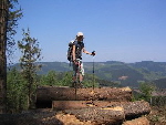 Holzstapel Holzstapel