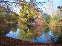 Herbst_Saalhausen_Kurpark2