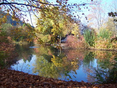 Herbst_Saalhausen_Kurpark2